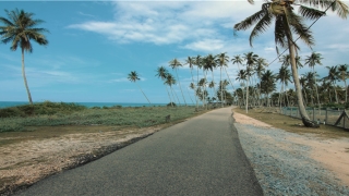 没怀孕但是梦见自己堕胎(梦见自己怀孕然后堕胎是什么意思)