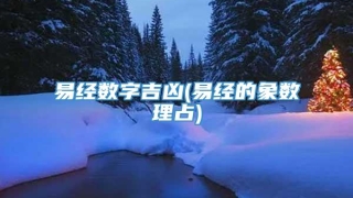 易经数字吉凶(易经的象数理占)