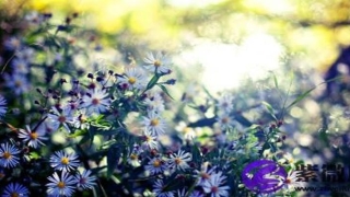 炉中火命跟山下火命合吗?会相克吗