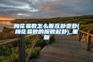 梅花易数怎么看互卦变卦(梅花易数的报数起卦)_重复