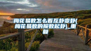梅花易数怎么看互卦变卦(梅花易数的报数起卦)_重复