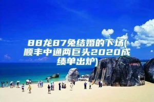 88龙87兔结婚的下场(顺丰中通两巨头2020成绩单出炉)