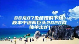 88龙87兔结婚的下场(顺丰中通两巨头2020成绩单出炉)