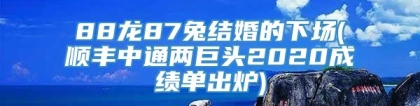 88龙87兔结婚的下场(顺丰中通两巨头2020成绩单出炉)