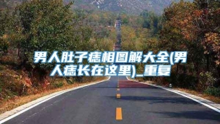 男人肚子痣相图解大全(男人痣长在这里)_重复