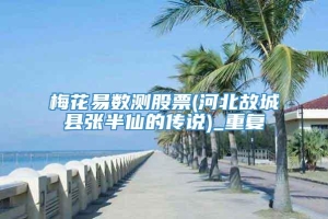 梅花易数测股票(河北故城县张半仙的传说)_重复