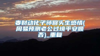 妻财动化子孙回头生感情(周易预测老公过境平安顺否)_重复