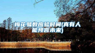 梅花易数应验时间(真有人能预言未来)