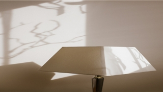 41岁属猴的今年命运怎么样(钟山双色球21053期)_重复