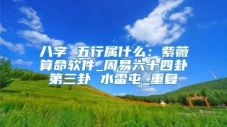 八字 五行属什么:紫薇算命软件_周易六十四卦第三卦 水雷屯_重复