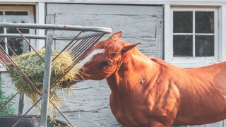 87年属兔女一定二婚么(长相越美命中的桃花劫就越多)