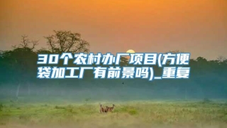 30个农村办厂项目(方便袋加工厂有前景吗)_重复
