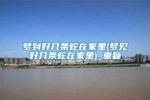 梦到好几条蛇在家里(梦见好几条蛇在家里)_重复