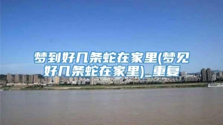 梦到好几条蛇在家里(梦见好几条蛇在家里)_重复