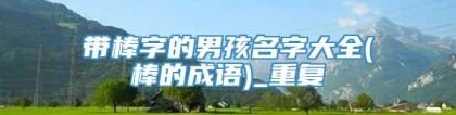 带棒字的男孩名字大全(棒的成语)_重复