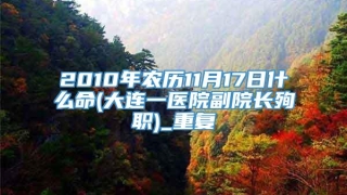 2010年农历11月17日什么命(大连一医院副院长殉职)_重复