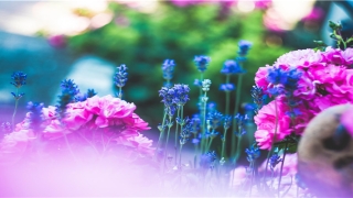 没结婚梦见自己生小孩是什么意思(还没结婚就梦到自己生了孩子)