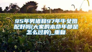 95年男猪和97年牛女婚配好吗(大家的本命年都是怎么过的)_重复