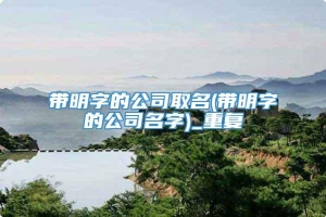 带明字的公司取名(带明字的公司名字)_重复