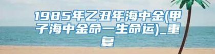 1985年乙丑年海中金(甲子海中金命一生命运)_重复