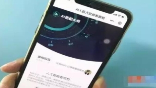 面相扫描算命(一张照片就能算出下半生)