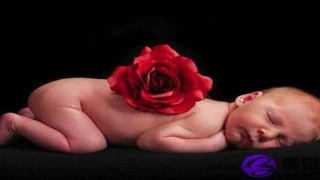 八字的名字(四柱八字起名字)