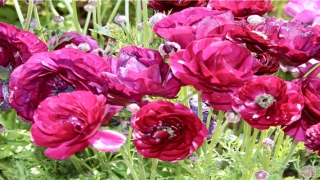 2人基友开黑名字霸气(基友开黑游戏名)_重复