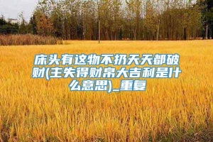 床头有这物不扔天天都破财(主失得财帛大吉利是什么意思)_重复