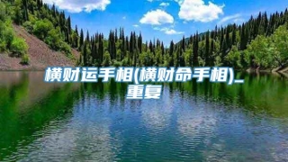 横财运手相(横财命手相)_重复