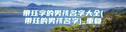 带珏字的男孩名字大全(带珏的男孩名字)_重复