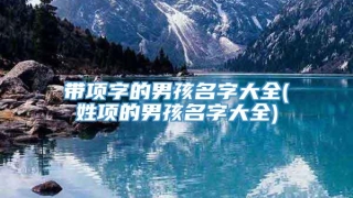 带项字的男孩名字大全(姓项的男孩名字大全)