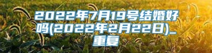 2022年7月19号结婚好吗(2022年2月22日)_重复