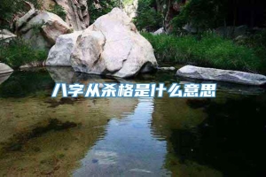 八字从杀格是什么意思