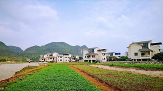 拔掉的牙如何处理风水(农村别墅风水布局与禁忌)