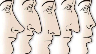 鼻子看相:五种富贵鼻(五官看相鼻子)