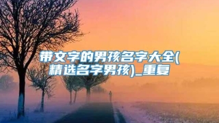 带文字的男孩名字大全(精选名字男孩)_重复