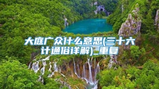 大庭广众什么意思(三十六计通俗详解)_重复