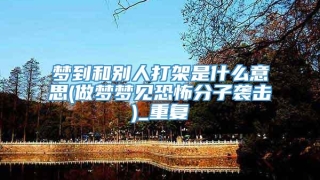 梦到和别人打架是什么意思(做梦梦见恐怖分子袭击)_重复