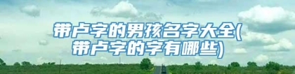 带卢字的男孩名字大全(带卢字的字有哪些)