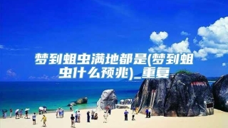 梦到蛆虫满地都是(梦到蛆虫什么预兆)_重复