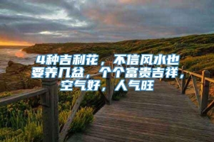 4种吉利花，不信风水也要养几盆，个个富贵吉祥，空气好，人气旺