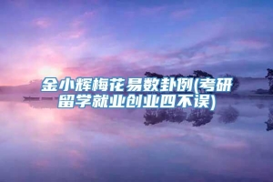 金小辉梅花易数卦例(考研留学就业创业四不误)