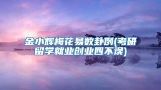 金小辉梅花易数卦例(考研留学就业创业四不误)