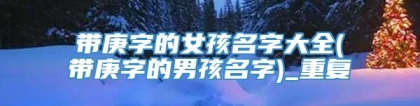 带庚字的女孩名字大全(带庚字的男孩名字)_重复