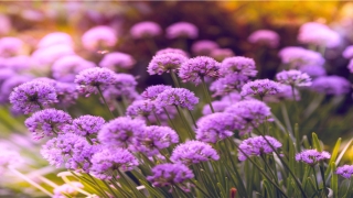 八败命的人如何改命(几条实用的改命手段)