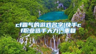 cf霸气的游戏名字(快手cf职业选手大力)_重复