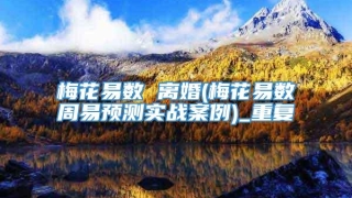 梅花易数 离婚(梅花易数周易预测实战案例)_重复