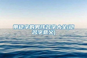 带铠字的男孩名字大全(铠名字意义)