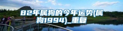 82年属狗的今年运势(属狗1994)_重复