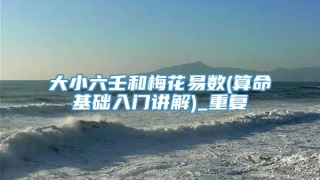 大小六壬和梅花易数(算命基础入门讲解)_重复